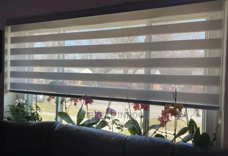 White Zebra Window Blinds