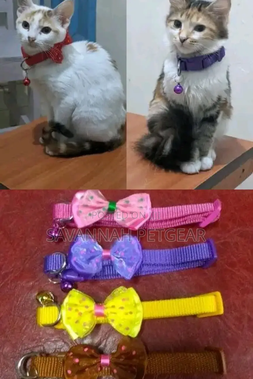 Special Bow Cat Collars Stylish Kitty Collars