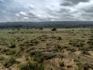 5 Acres Land for Sale