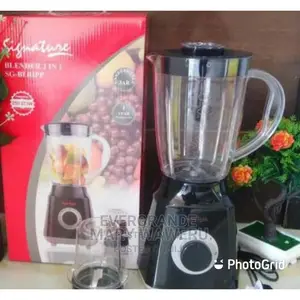 2 in 1 Signature Blender
