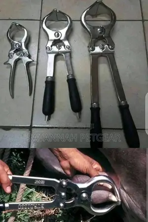 Burdizzo for Castration of Bulls 16"