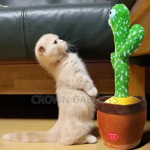 Dancing Cactus Recording and Repeats What You Say,