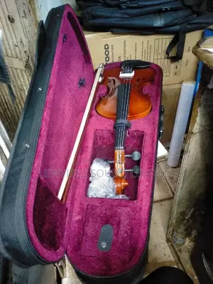 Pinkish Quarter Size Violin
