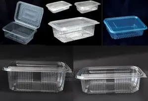 Disposable Take Away Food Containers-Punnets Deli Tubs