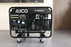 Petrol 3phase Generator (Lt11000cle-3)