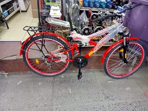 Victory Sports Bicycle