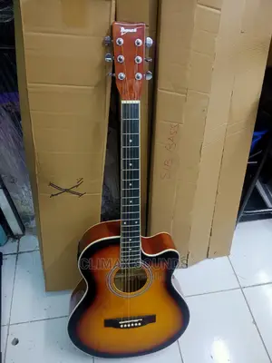 Semi Acoustic Guitar Ibanez 40
