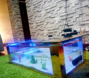 Aqualife Aquarium Store