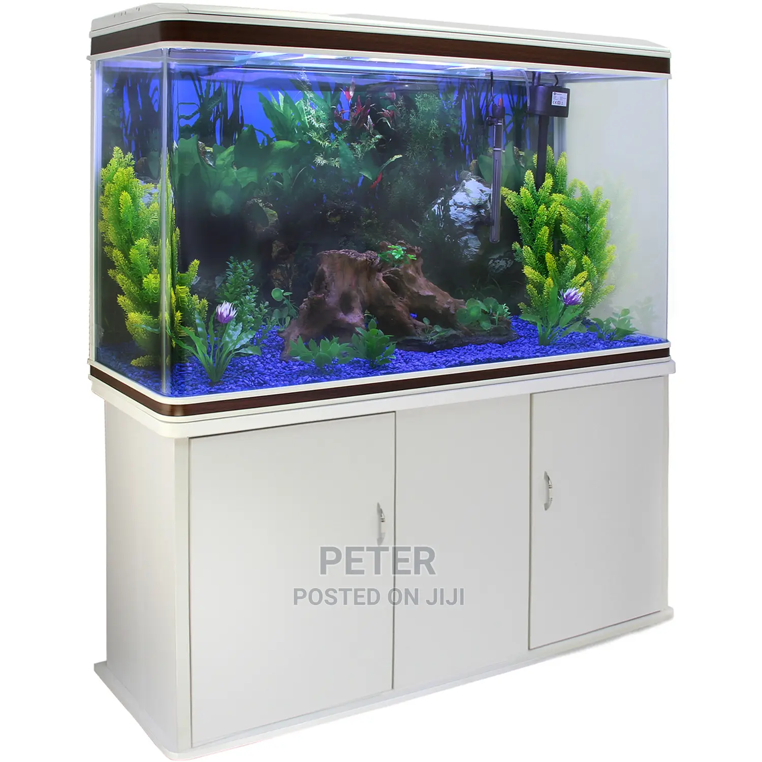 Aqualife Aquarium Store