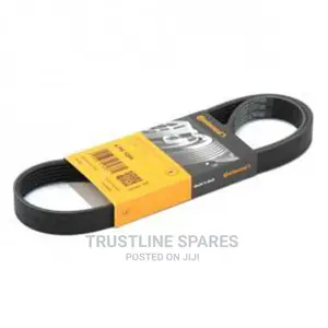 Audi A3,VW Golf,Touran,Passat, Ribbed v-Belt-Contitech.