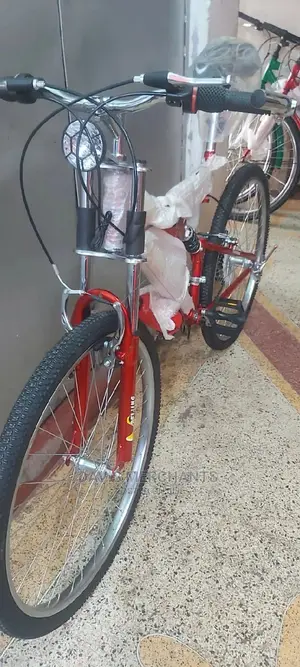 Beijin Bicycle With a Shock