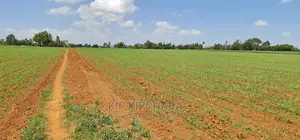 25 Acres Arable Land for Sale in Sergoit Moiben in Rldoret