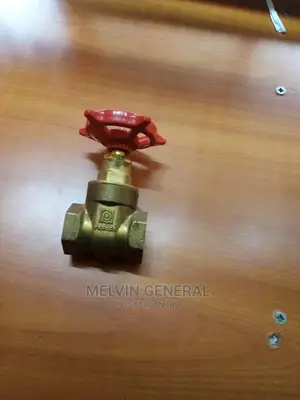 Peglar Gate Valve 1/2"