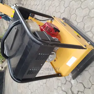 Used Plate Compactor (Reversible)
