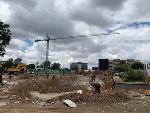 Tower Crane for Hire/Sale