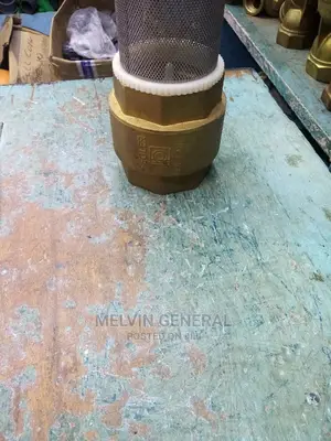 Peglar Foot Valve 3"