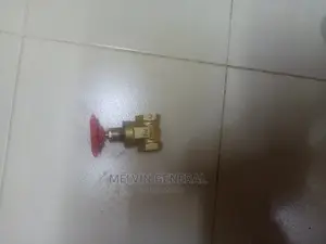 Lirelee Gate Valve 3/4"