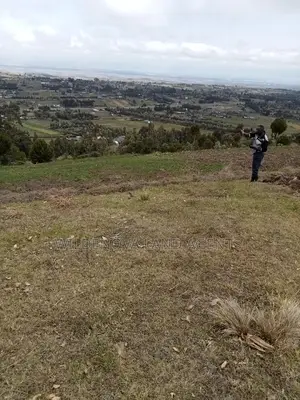 2 Acres of Land Sale at Kenyatta Road