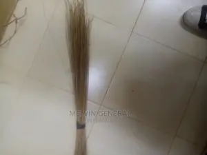 Sweeping Broom