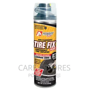 Quick Fix Tire Inflator