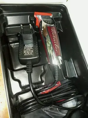 Wahl Detailer