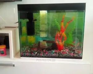 Aquarium 50L