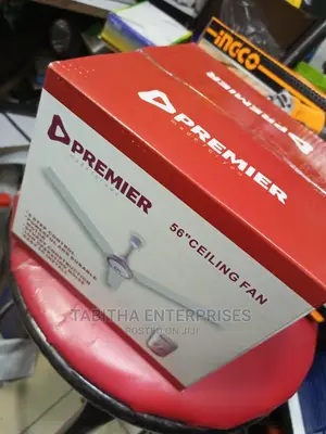 Premier Ceiling Fan New