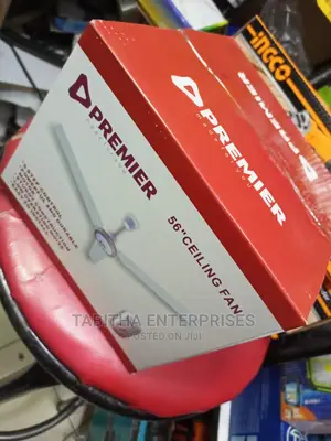 Premier Ceiling Fan 5'6"