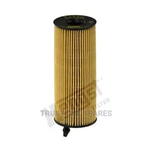 BMW Series 1,3,5,6,7,Oil Filter-Hengst E122H D187