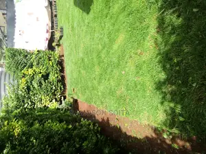 Landscaping and Gardening