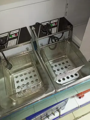 Electric Double Deep Fryer Modern