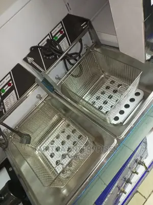Double Electric Deep Fryer