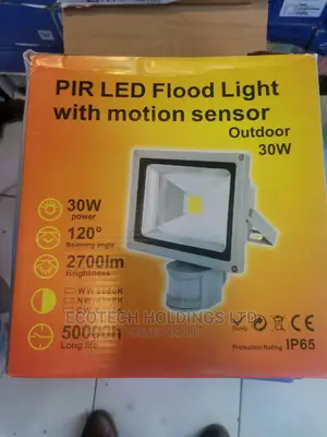 30wts Led Motion Sensor Floodlight