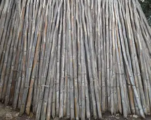 Sisalpoles/Makonge From Taveta