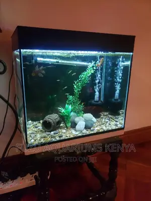 Aquarium (Nature)