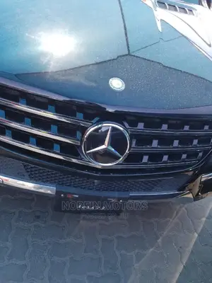 Mercedes-Benz M Class 2014 Black