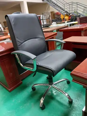 Executive Office Seat