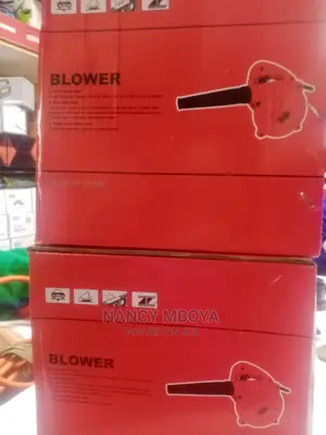 Air Blower Electric Dust