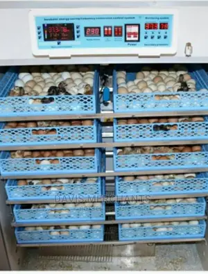 1056 Eggs Automatic Incubator
