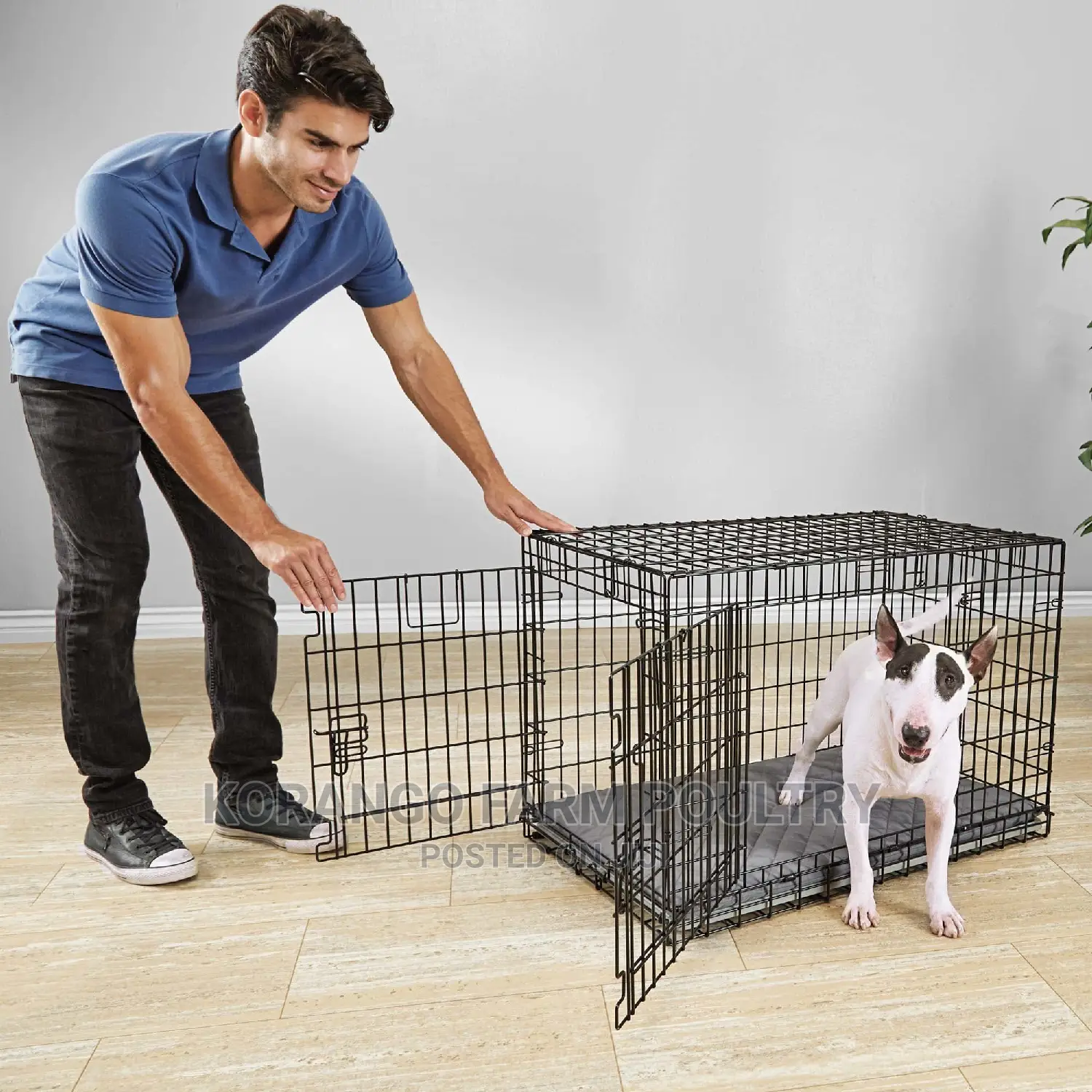4 Months Pet Cages
