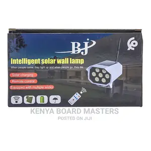 Solar Motion Sensors- Dummy Camera BJ