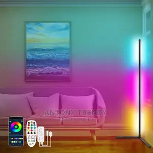 Modern RGB LED Corner Floor Lamp