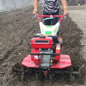 Small Tiller Working Rotary Tillage