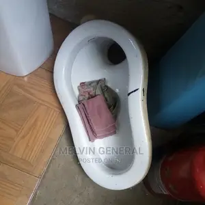 Asian Toilet.