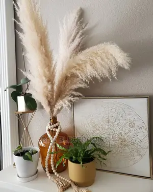 Large Fluffy Decorative Pampas Grass
