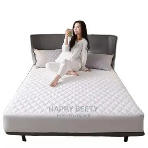 Matress Protector (Water /Dust/Bedbugs Proof)