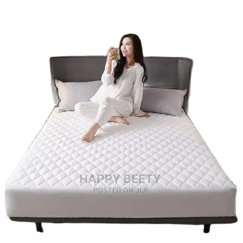 Matress Protector (Water /Dust/Bedbugs Proof)