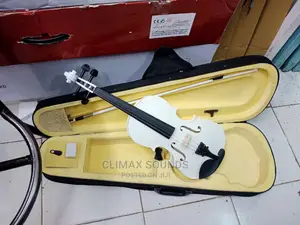 Violin 3/4