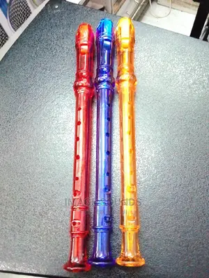 Flute-Recorder Coloured