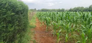 1⁄4 Plots for Sale Lemook Kapseret in Eldoret